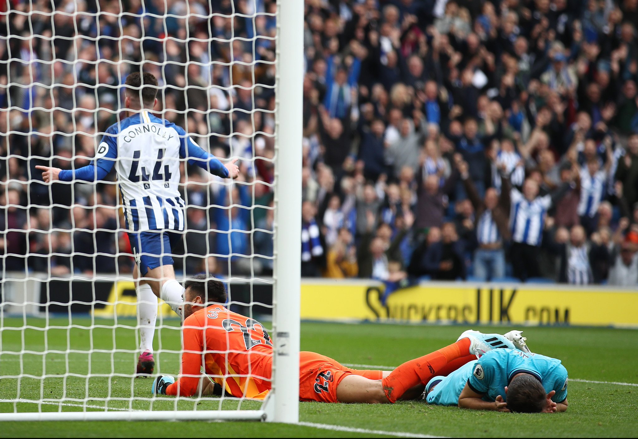 宠物用品包装设计、宠物食物包装盒欣赏